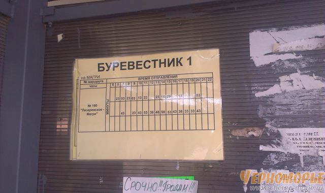 Расписание транспорта в Вишневке