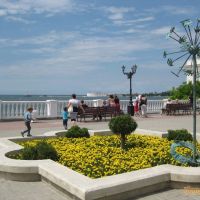 Символ добра - одуванчик на Набережной в Севастополе