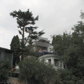 Массандровский дворец