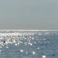 Море в поселке Якорная Щель