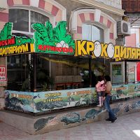 Развлечения в Ялте