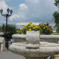 Цветы на Набережной в Севастополе