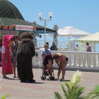 Маша и медведь в Дивноморском