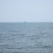 IMG_4237