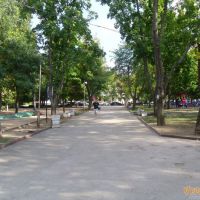 В Комсомольском парке в Севастополе