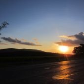 IMG_5414