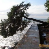 Море в Хосте