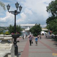 Красивые клумбы в Севастополе