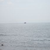 IMG_1018