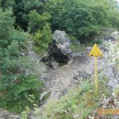 Растительность