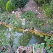 Водоем в Кастальской купели Кабардинки