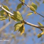 DSCN0152