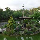 Красивая растительность в Кастальской купели Кабардинки