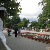 На улицах в Севастополе