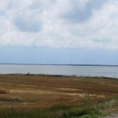 Грязевой лиман в станице Благовещенской