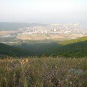 Геленджик