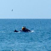 Дельфин за гидроциклом в море в Сочи