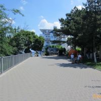 IMG_4449