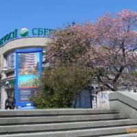 Сбербанк в Ялте