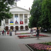 Красивые цветочные клумбы в Севастополе