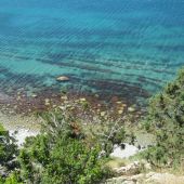 Чистая вода в море в Кабардинке