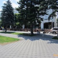 IMG_4455