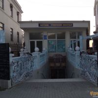 Выставка тропический животных в Севастополе