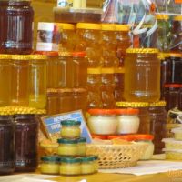 Дегустация продуктов пчеловодства в Сочи