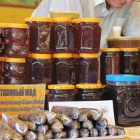 Дегустация продуктов пчеловодства на Сочинской пасеке