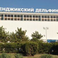 Дельфинарий в Геленджике