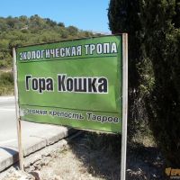 Экологическая тропа в Симеизе
