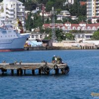 Морская рыбалка в Ялте