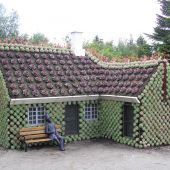 Суккуленты