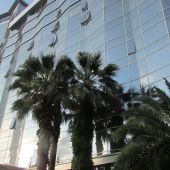 IMG_4040