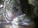 Экскурсии в Лазаревском